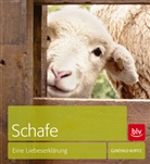 Gunthild Kupitz, Odile Hain - Schafe
