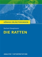 Rüdiger Bernhardt, Gerhart Hauptmann - Gerhart Hauptmann 'Die Ratten'