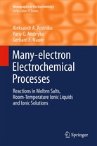 Aleksandr Andriiko, Aleksandr A Andriiko, Aleksandr A. Andriiko, Yuriy Andriyko, Yuriy O Andriyko, Yuriy O. Andriyko... - Many-electron Electrochemical Processes