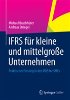Buschhüte, Michae Buschhüter, Michael Buschhüter, Striegel, Andreas Striegel - IFRS für kleine und mittelgroße Unternehmen