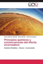 César Améric Almeida, César Américo Almeida, P González, Patricia González, Silvy Quintar, Silvya Quintar - Principios químicos y consecuencias del efecto invernadero