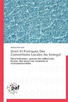 Abdoul Aziz Sow, Sow-a - Droit et pratiques des