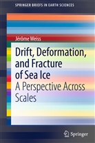 Jerome Weiss, Jérôme Weiss - Drift, Deformation, and Fracture of Sea Ice