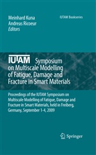 Meinhar Kuna, Meinhard Kuna, Ricoeur, Ricoeur, Andreas Ricoeur - IUTAM Symposium on Multiscale Modelling of Fatigue, Damage and Fracture in Smart Materials