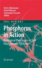 Else K. Bünemann, Emmanuel Frossard, Astri Oberson, Astrid Oberson - Phosphorus in Action