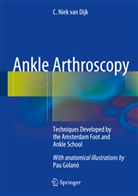 C. Niek Dijk, C. Niek Van Dijk, Niek C. van Dijk, Niek van Dijk, C Niek van Dijk, C. Niek van Dijk - Ankle Arthroscopy