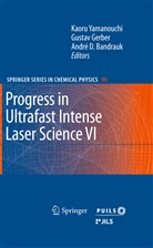 Andre D Bandrauk, Andre D. Bandrauk, André D. Bandrauk, Andre D Bandrauk, Gusta Gerber, Gustav Gerber... - Progress in Ultrafast Intense Laser Science VI