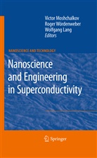 Wolfgang Lang, Victor Moshchalkov, Roge Woerdenweber, Roger Woerdenweber - Nanoscience and Engineering in Superconductivity