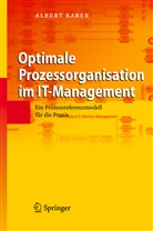 Albert Karer - Optimale Prozessorganisation im IT-Management