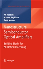 Hame Baghban, Hamed Baghban, Reza Maram, Al Rostami, Ali Rostami - Nanostructure Semiconductor Optical Amplifiers
