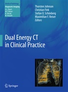 Christia Fink, Christian Fink, Thorsten Johnson, Thorsten R. C. Johnson, Stefan O Schönberg et al, Maximilian F Reiser... - Dual Energy CT in Clinical Practice