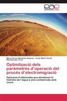 Javier Marín Cerdá, Maria Teres Montañés Sanjuan, Maria Teresa Montañés Sanjuan, Rita Sánchez Tovar - Optimització dels paràmetres d'operació del procés d'electromigració