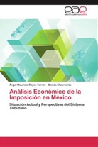 Moisés Elizarrarás, Ángel Maurici Reyes Terrón, Ángel Mauricio Reyes Terrón - Análisis Económico de la Imposición en México