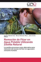 Manue Balcázar Meza, Manuel Balcázar Meza, Agustí Montiel Cota, Agustín Montiel Cota, Varela, Jaime Varela Salazar - Remoción de Flúor en Agua Potable Utilizando Zeolita Natural