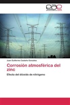 Juan Guillermo Castaño González - Corrosión atmosférica del zinc