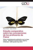Gustavo Bender, Alici Ortalda, Alicia Ortalda - Estudio comparativo sobre las concepciones de los profesores de Física