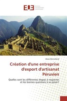 Alexis Bonnefond, Bonnefond-a - Creation d une entreprise d