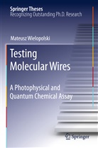 Mateusz Wielopolski - Testing Molecular Wires
