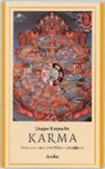 D. Rinpoche, Dagpo Rinpoche - Karma