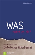 Okko Herlyn - Was nützt es dir?