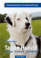 Michaela Göbel - Taube Hunde