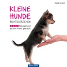 David Keulert - Kleine Hunde richtig erziehen