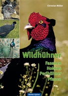Hans von Boetticher, Christia Möller, Christian Möller, Hans von Boetticher - Wildhühner