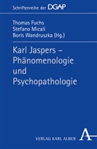 Fuch, Thomas Fuchs, Mical, Stefan Micali, Stefano Micali, Wandruszka... - Karl Jaspers - Phämomenologie und Psychopathologie