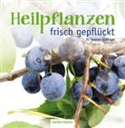Yvonne Höflinger, Yvonne (Dr. med.) Höflinger - Heilpflanzen frisch gepflückt