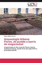 Ulises Adrián Camino - Arqueología Urbana: Flores, de pueblo a barrio de megaciudad
