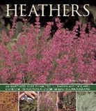 Andrew Mikolajski, Mikolajski Andrew, Peter Anderson - Heathers