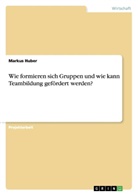 Markus Huber - Wie formieren sich Gruppen und wie kann Teambildung gefördert werden?