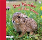 Ann-K Heger, Ann-Katrin Heger - Das Wunder auf der Wiese