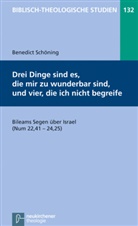 Benedict Schöning, Jörg Frey, Friedhel Hartenstein, Friedhelm Hartenstein, Bernd Janowski, Bernd Janowski u a... - Drei Dinge sind es, die mir zu wunderbar sind, und vier, die ich nicht begreife