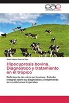 Juan Ramón García Díaz - Hipocuprosis bovina. Diagnóstico y tratamiento en el trópico