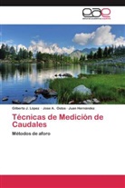 Juan Hernández, Gilberto López, Gilberto  J. López, Gilberto J López, Gilberto J. López, Jose Ostos... - Técnicas de Medición de Caudales