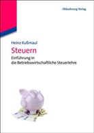 Heinz Kußmaul - Steuern