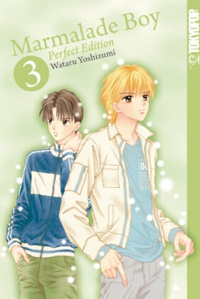 Wataru Yoshizumi - Marmalade Boy: Perfect Edition. Bd.3