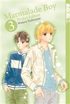 Wataru Yoshizumi - Marmalade Boy: Perfect Edition. Bd.3