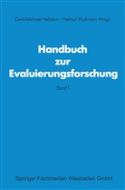 Gerd M Hellste, Gerd M Hellstem, Hellmut Wollmann - Handbuch zur Evaluierungsforschung
