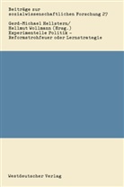 Gerd-Michae Hellstern, Gerd-Michael Hellstern, Wollmann, Wollmann, Hellmut Wollmann - Experimentelle Politik, Reformstrohfeuer oder Lernstrategie