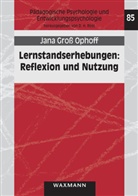 Jana Groß Ophoff - Lernstandserhebungen: Reflexion und Nutzung