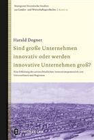 Harald Degner - Sind große Unternehmen innovativ oder werden innovative Unternehmen groß?