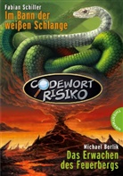 Borlik, Michae Borlik, Michael Borlik, SCHILLE, Fabian Schiller, Eilika Mühlenberg - Codewort Risiko - Im Bann der weißen Schlange. Codewort Risiko - Das Erwachen des Feuerbergs