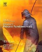 Seshadri Seetharaman - Treatise on Process Metallurgy