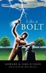 Howard &amp;. Sara D'Spain - Like a Bolt