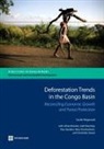 Carole Megevand - Deforestation Trends in the Congo Basin
