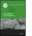 Luis Ribeiro, Luis Ribeiro, Luis Stigter Ribeiro, Antonio Chambel, Chambel Antonio, M. Teresa Condesso de Melo... - Groundwater and Ecosystems