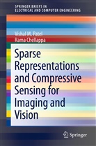 Rama Chellappa, Ramalingam Chellappa, Vishal Patel, Vishal M. Patel - Sparse Representations and Compressive Sensing for Imaging and Vision