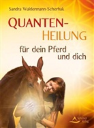 Waldermann-Scherhak, Sandra Waldermann-Scherhak - Quantenheilung für dein Pferd und dich